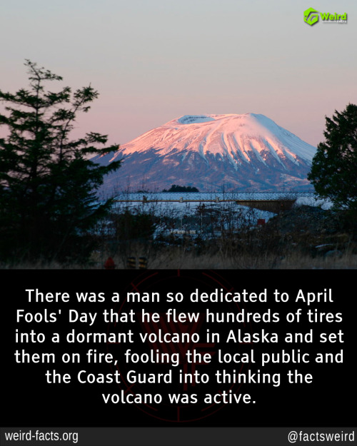 The April Fools' Day Prank That Involved Hundreds of Tires and a Mysterious Destination—What Really Happened?