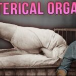 The Shocking Truth Behind the Great Vibrator Myth That Nobody Told You