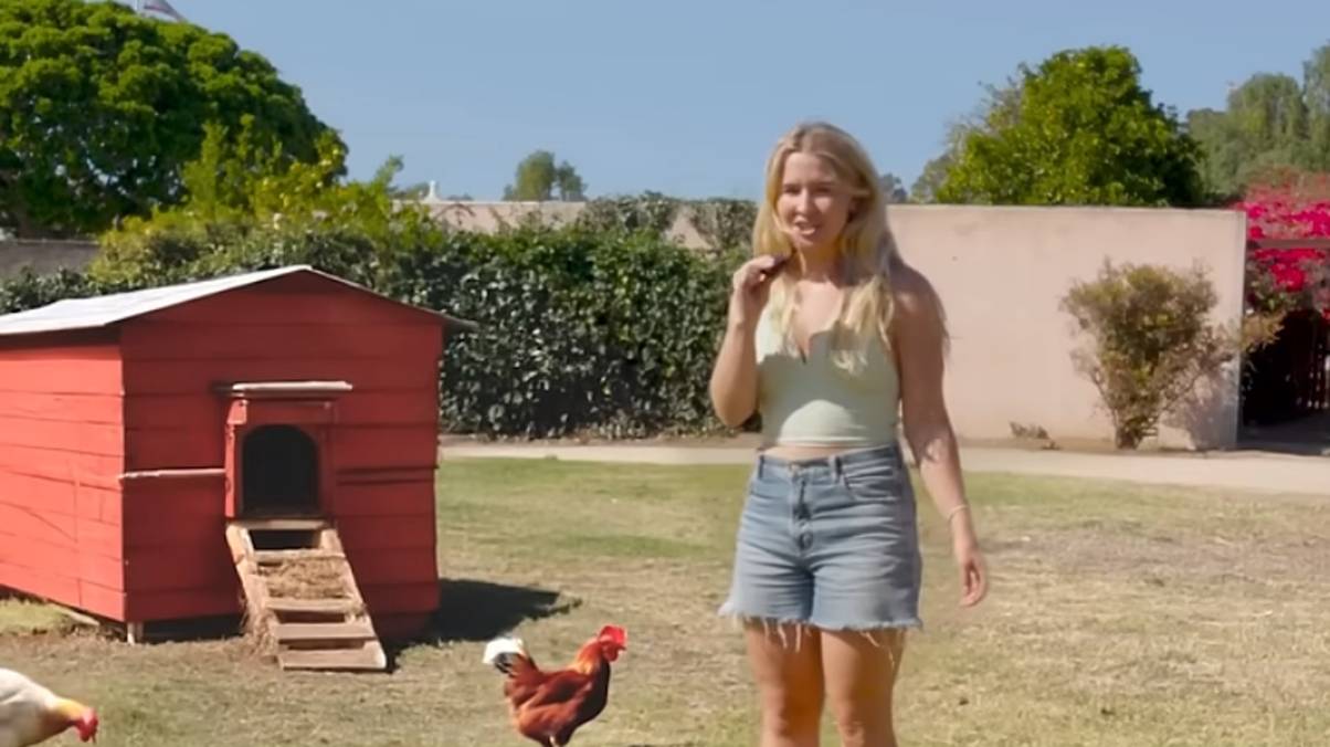 Unexpected Farm Video Sparks Viral Mental Meltdown—What’s Really Behind It?