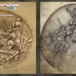 Unveiled: Chilling Stone Age 'Victory Pits' in France Reveal Brutal Massacre Secrets