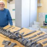 Unveiled on the Isle of Wight: Mysterious New Dinosaur with Giant Sail Stuns Scientists