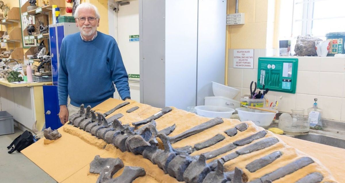 Unveiled on the Isle of Wight: Mysterious New Dinosaur with Giant Sail Stuns Scientists