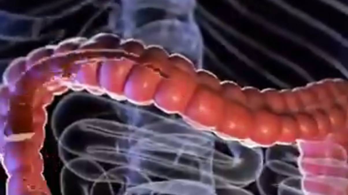 What Happens Inside Your Body When You Drink This Superfood Daily Will Shock You!
