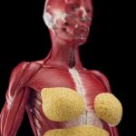 What Shocking Changes Occur Inside Your Body After Just 72 Hours Without Food?
