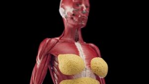 What Shocking Changes Occur Inside Your Body After Just 72 Hours Without Food?