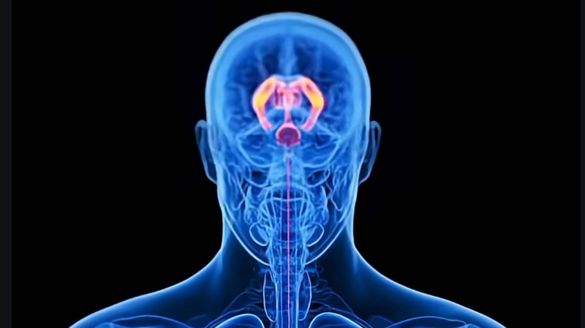 What Truly Happens to Your Body After 24 Hours of Fasting? Expert Reveals Shocking Truth