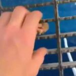 What Unseen Horror Erupted After Man Threw Food Off Oil Rig – Ocean Never the Same Again