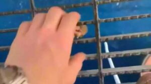 What Unseen Horror Erupted After Man Threw Food Off Oil Rig – Ocean Never the Same Again