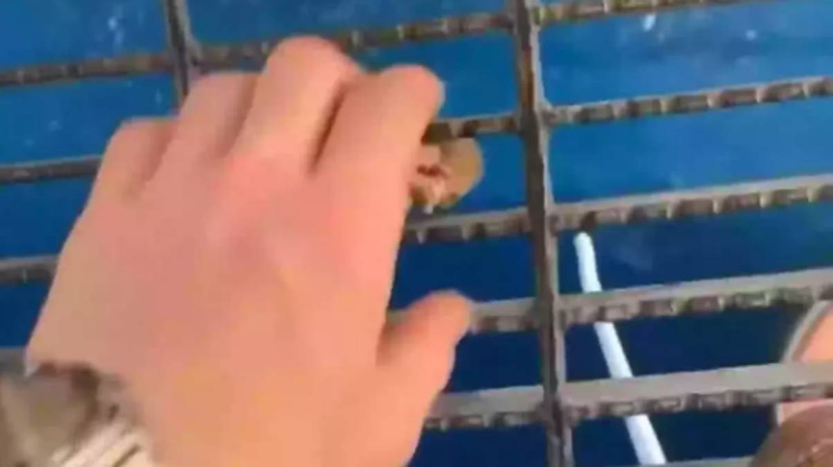 What Unseen Horror Erupted After Man Threw Food Off Oil Rig – Ocean Never the Same Again
