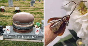 You Won’t Believe These 94 Hilariously Bad Taste Moments That Are Shockingly Well Done