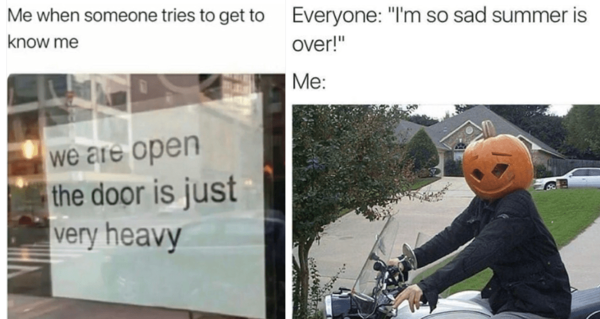 You Won't Believe What Tumblr Users Are Sharing Now—Prepare to Be Amazed!
