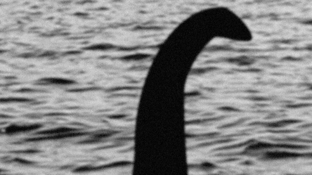 The Shocking Truth Behind the Viral ‘Why You Coming Fast’ Guy What