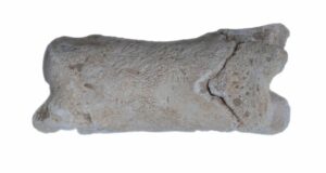 Mystery Unveiled: Ancient Egyptian Bone Whistle Could Reveal Secrets of 3,300-Year-Old Law Enforcement