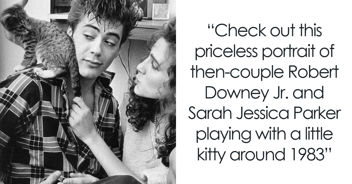 Step Back in Time: 49 Vintage Cat Photos That Reveal a Secret World Before the Internet