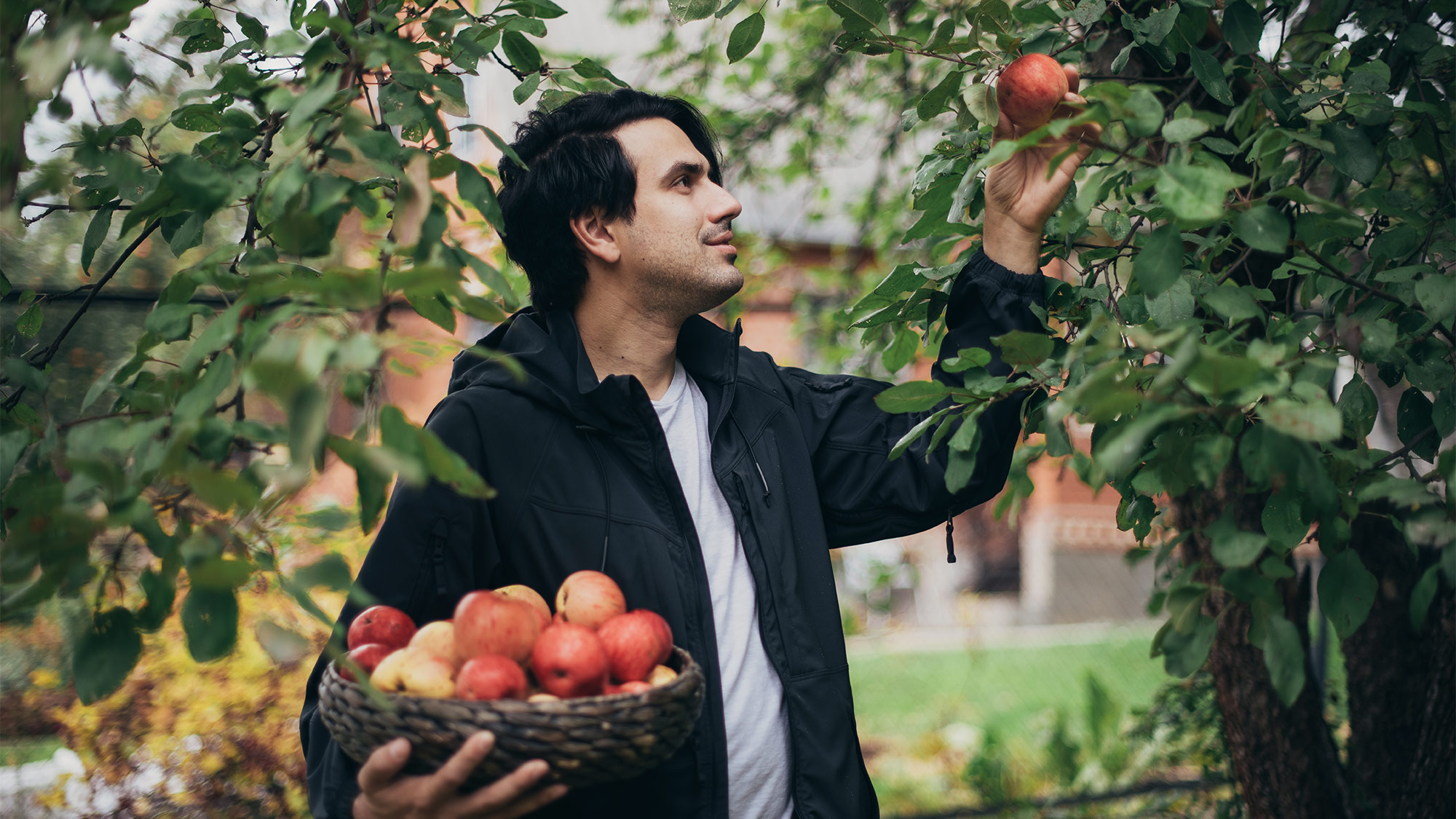 The Surprising Secrets Apple Orchards Don’t Want You to Know