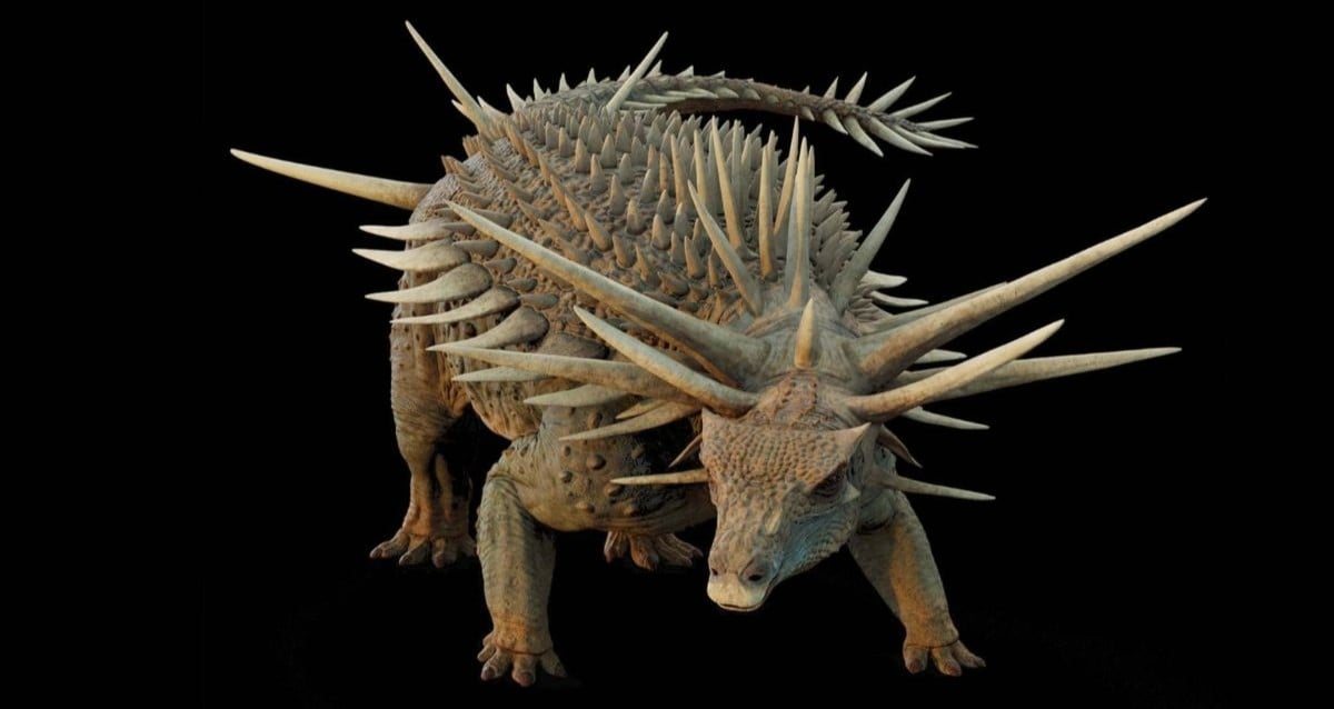 Unearthed in Morocco: The 165-Million-Year-Old Ankylosaur With a Bizarre, Never-Before-Seen Look