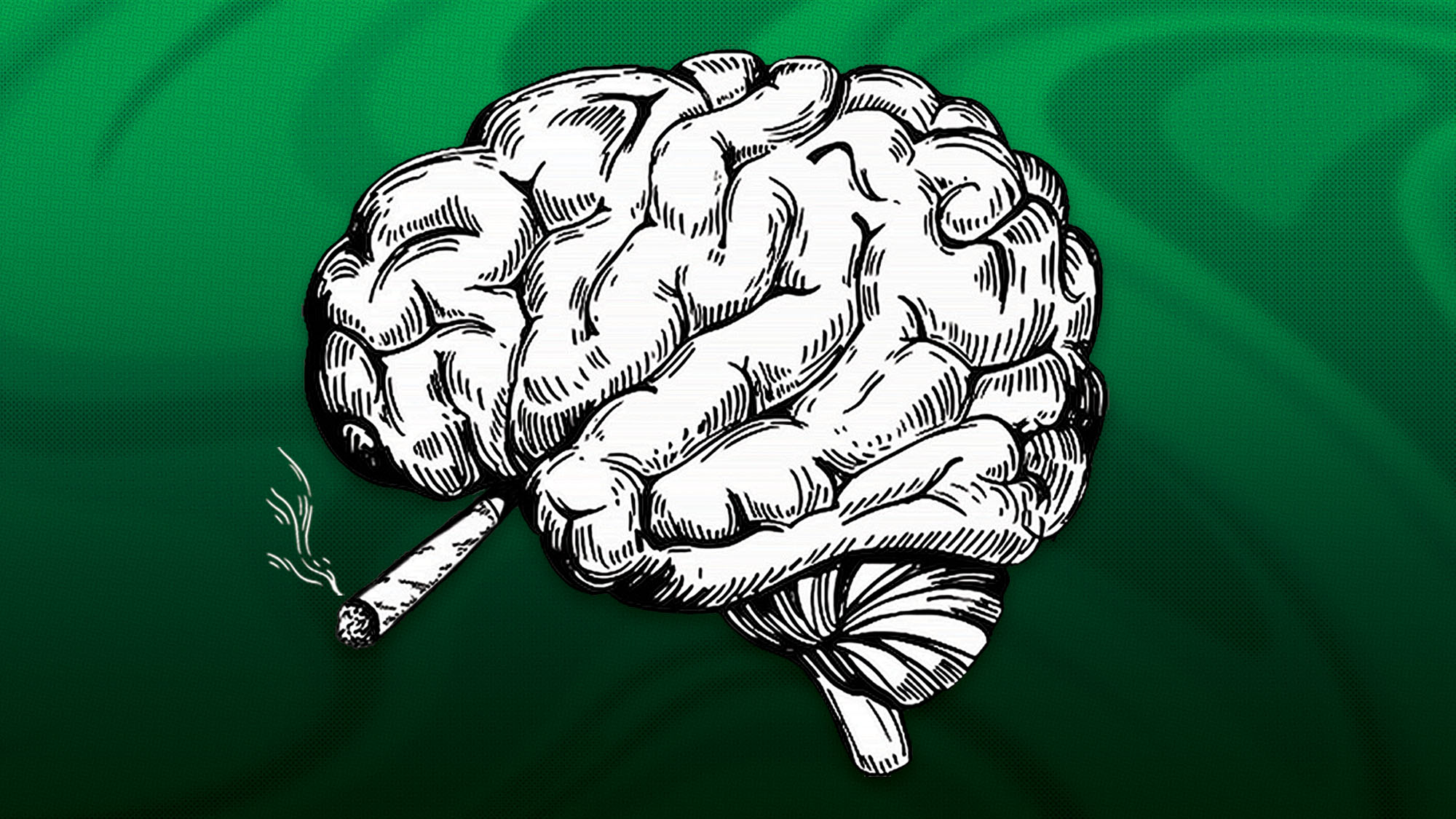 Unlocking the Mind: The Surprising Ways Marijuana Changes Your Brain