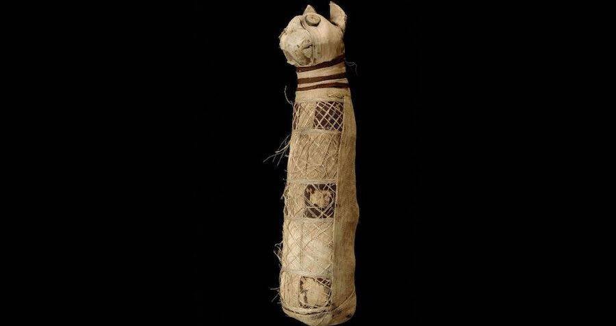 Unveiled Secrets: Three Mysterious Cats Found Entombed Within a Single Ancient Egyptian Mummy
