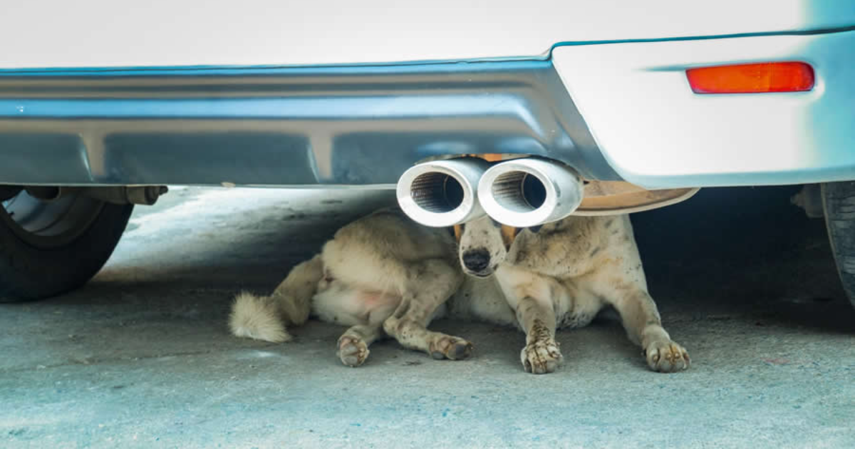 50 Mind-Blowing Photos That Will Change the Way You See Photography Forever