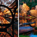 Discover the Hidden Autumn Wonders: 52 Breathtaking Fall Foliage Photos That Will Leave You Spellbound