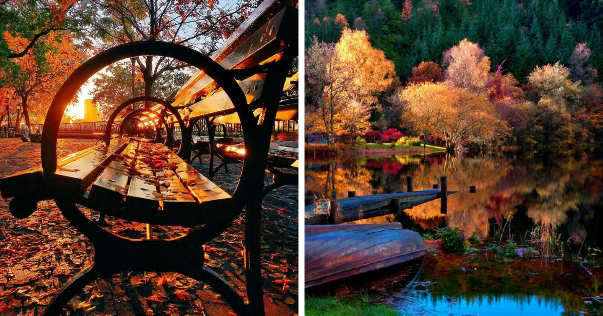 Discover the Hidden Autumn Wonders: 52 Breathtaking Fall Foliage Photos That Will Leave You Spellbound