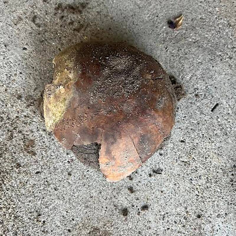 Indiana Man Unearths 4,270-Year-Old Native American Skull on His Own Riverbank — What Happens Next Will Astonish You