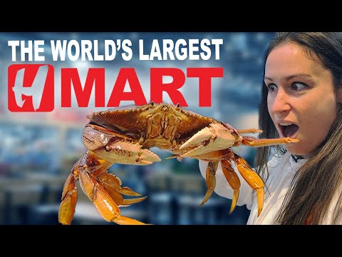 The WORLD’S LARGEST HMART | Everything You NEED to Know 🛒🍜