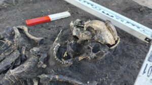 Unearthed in Poland: 24 Medieval Warriors’ Graves Concealed with Mysterious Weapons Spark Ancient Secrets Debate