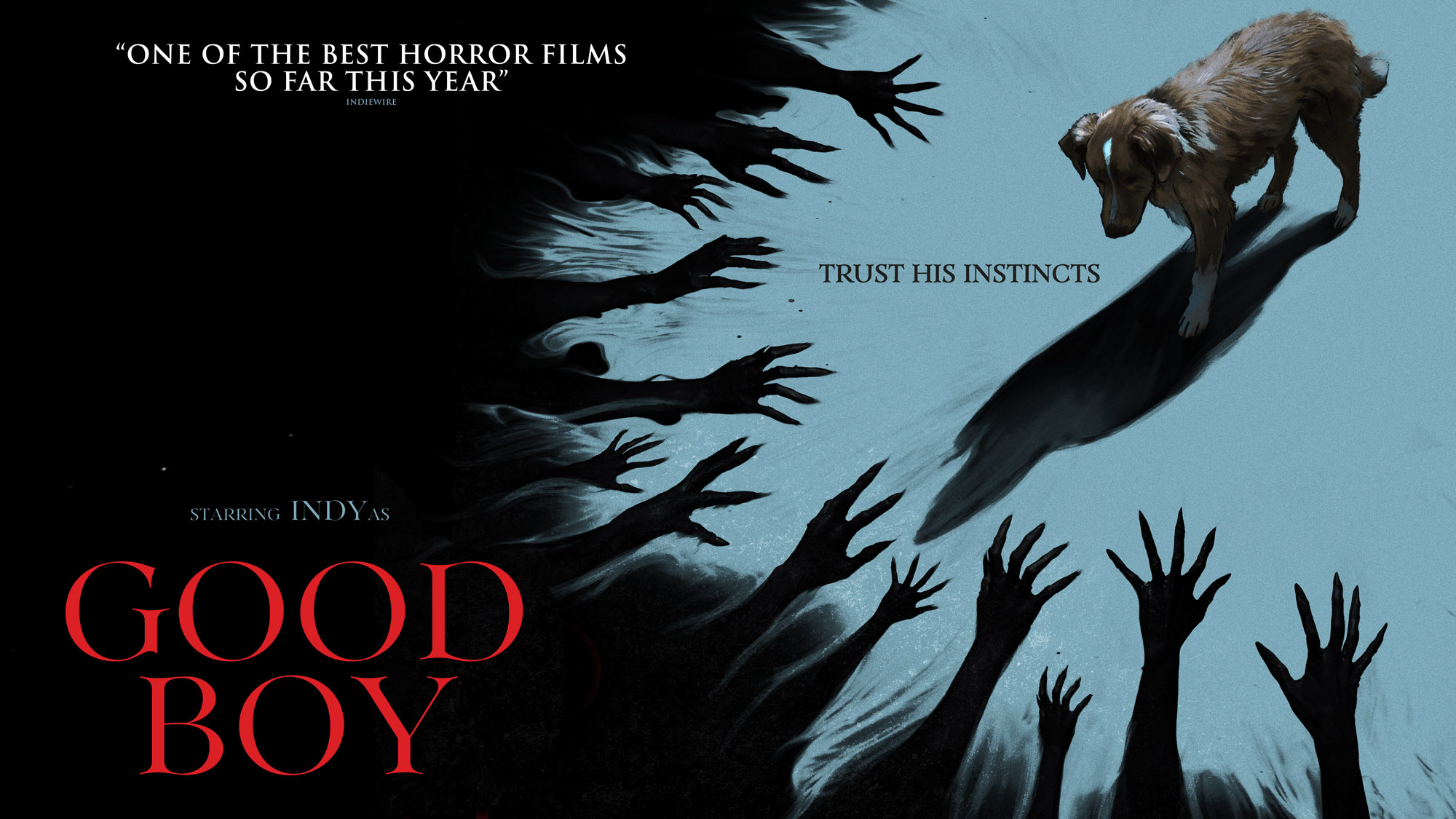 Unraveling the Dark Secrets Behind ‘Good Boy’: What You’re Not Being Told