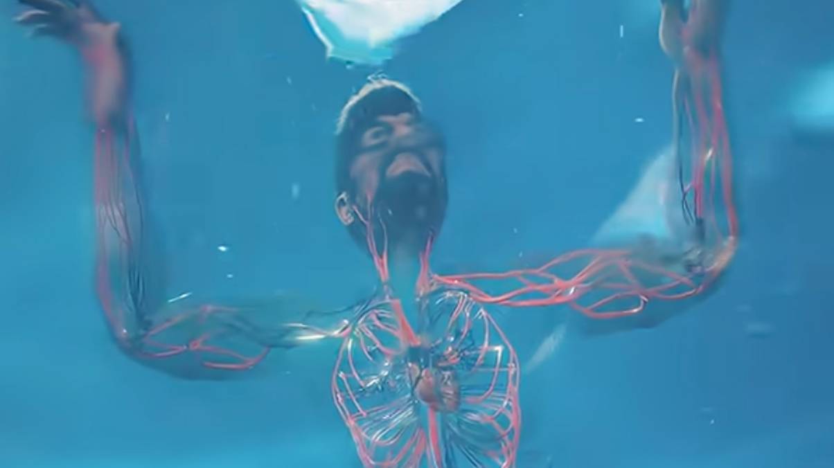 What Happens to Your Body Seconds Before You Drown Will Shock You—Watch the Harrowing Simulation Unfold