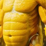 What Your Body Secretly Endures When You Stop Eating for 36 Hours—Prepare to Be Amazed!