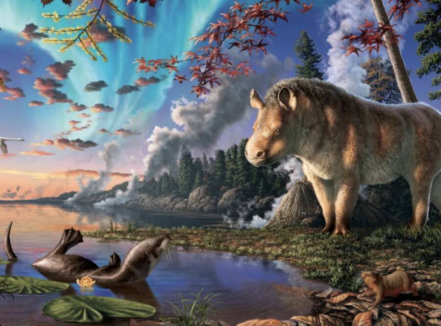 Ancient Arctic Mystery Unveiled: Meet the Lost ‘Polar Rhino’ Frozen in Time for 23 Million Years