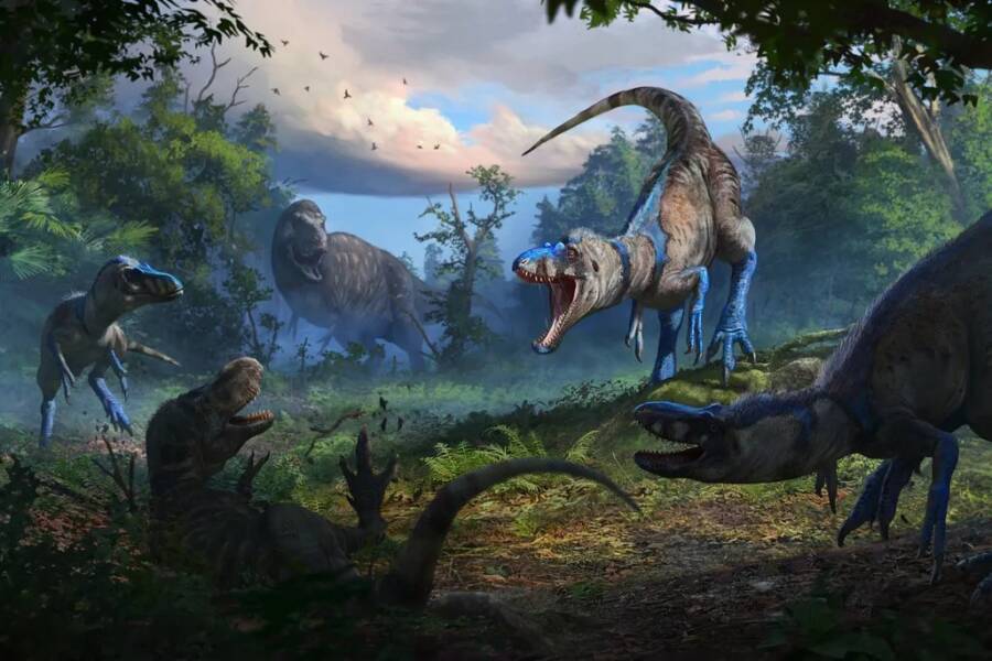Mystery of the "Baby T. Rex" Solved: New Mini Tyrannosaur Species Unearthed After 80 Years