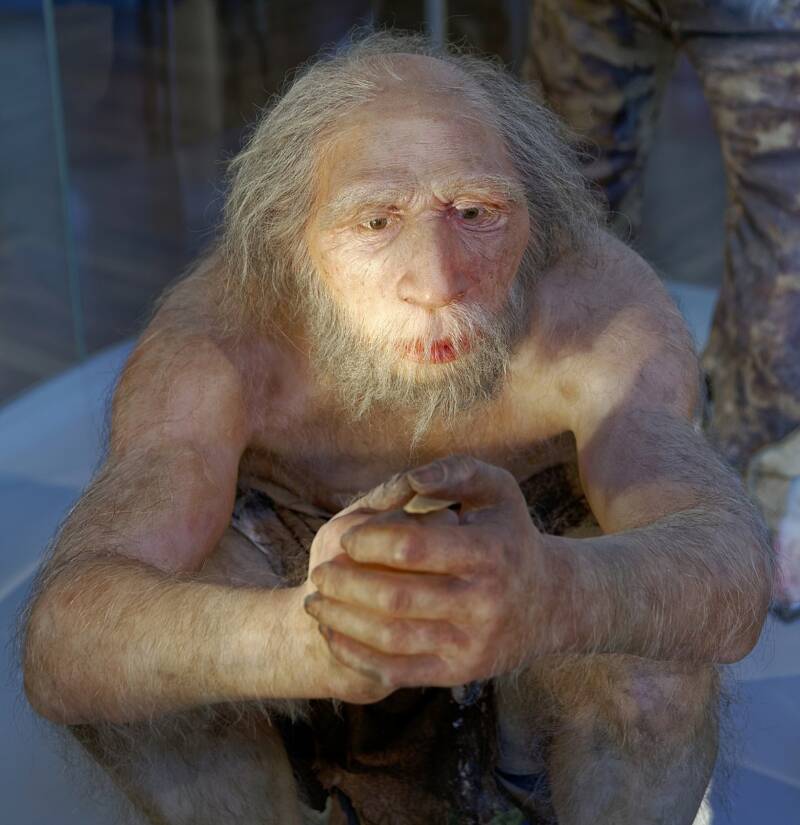 Shocking Discovery in Belgium Reveals Dark Secrets of Neanderthal Cannibalism 45,000 Years Ago