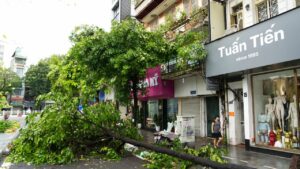 Unbelievable Weather in 2024: 13 Events That Shocked the World