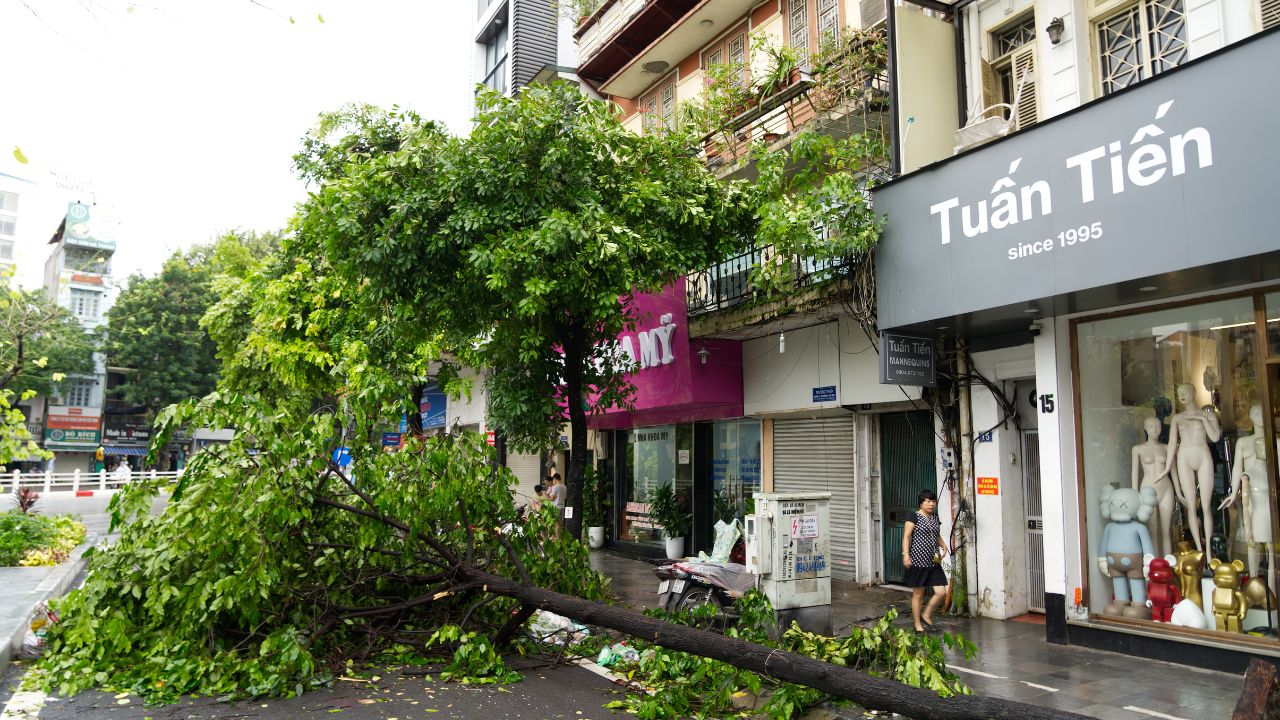 Unbelievable Weather in 2024: 13 Events That Shocked the World