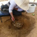 Unearthing the Secrets of a Vast Ancient Cremation Site in France: What the Dead Can Tell Us About Forgotten Rituals