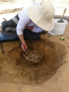 Unearthing the Secrets of a Vast Ancient Cremation Site in France: What the Dead Can Tell Us About Forgotten Rituals