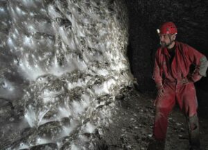 Unveiled: The Enormous Spider Web Stretching Over 1,140 Square Feet That Defies Belief