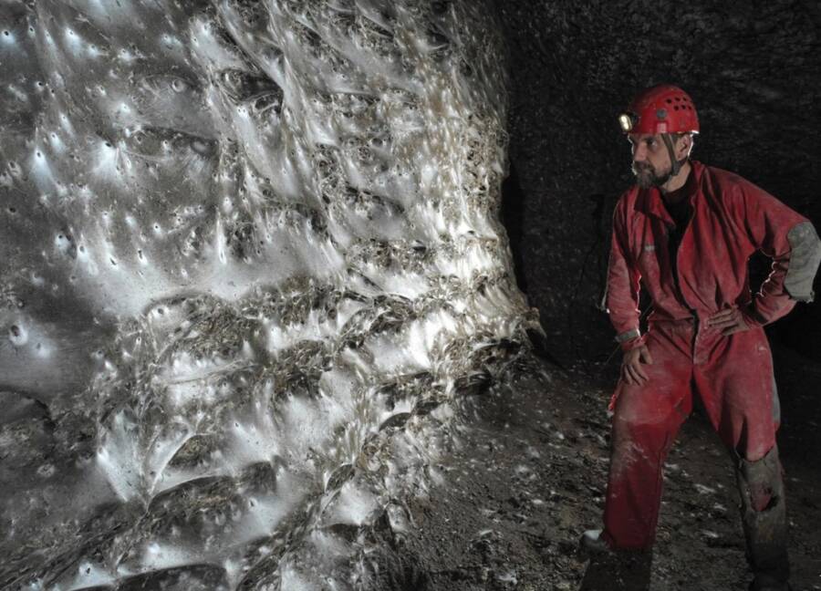 Unveiled: The Enormous Spider Web Stretching Over 1,140 Square Feet That Defies Belief