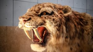 Unveiling the Lost Legends: 12 Mysterious Cat Breeds That Ruled and Vanished