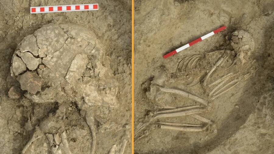 Ancient Boy's Miraculous Survival of Lion Attack Revealed in Bulgarian Skeleton After 6,200 Years