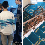 Dive Into 68 Mind-Bending Images That Blur the Line Between Reality and Surreal Fantasy