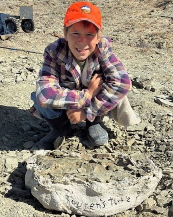 11-Year-Old Unearths 48-Million-Year-Old Turtle Shell in Wyoming—Scientists Left Stunned by Discovery
