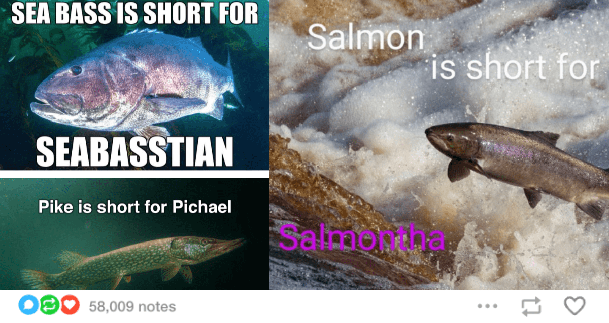 20 Tumblr Posts So Heartwarming, They’ll Restore Your Faith in Humanity Instantly