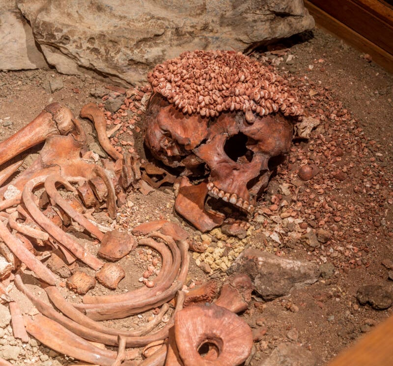 28,000-Year-Old Teenage Boy’s Grim Encounter with a Savage Bear Unearthed in Italy—What Secrets Does the Ancient Attack Hide?