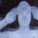 Airport X-Ray Scanners Scrapped Amid Alarming Discovery of Staff’s Startling Access to Private Images