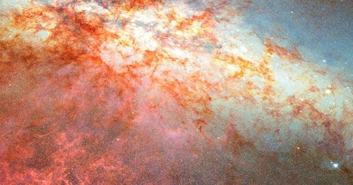 He Puts Paint on His Hand—What Happens Next Will Blow Your Mind!