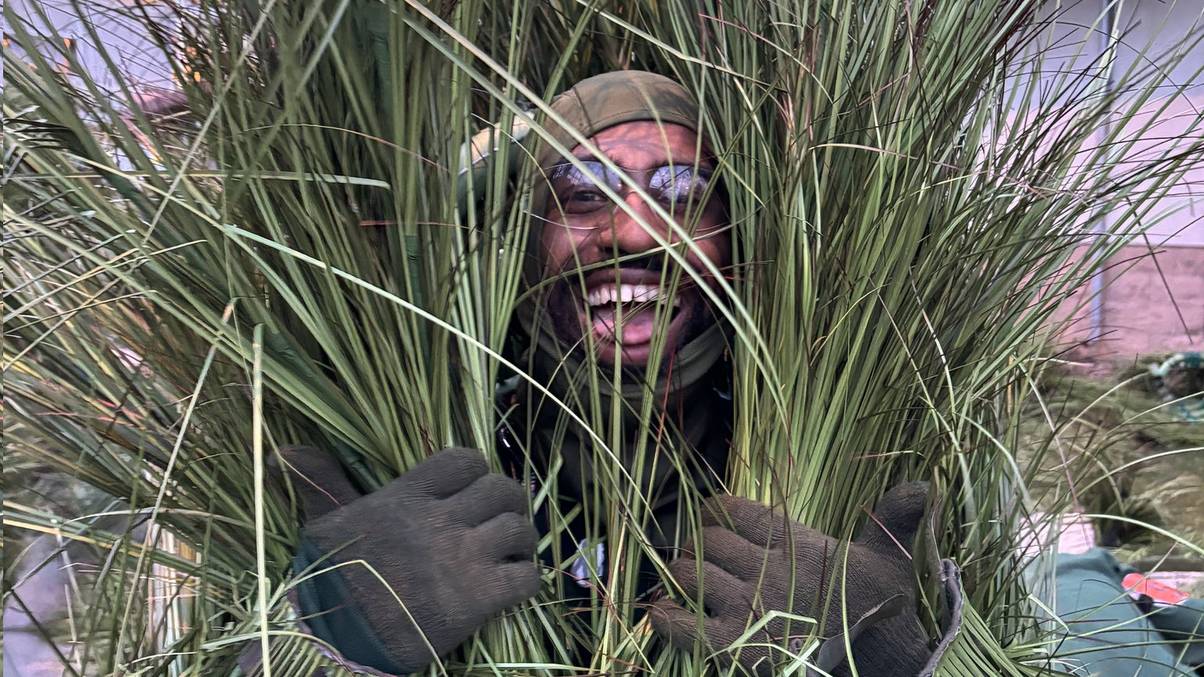 Hidden Secrets Behind Super Bowl Bush Movers' Strict Rules Revealed!