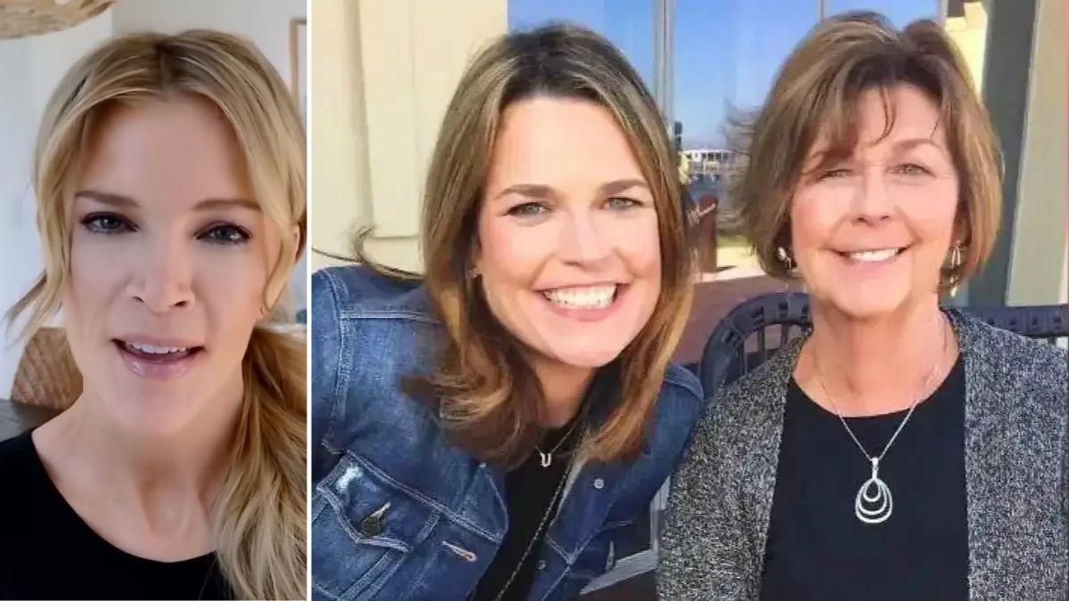 Megyn Kelly Drops Shocking Claim About Missing Nancy Guthrie’s Family – What Savannah’s Video Reveals Changes Everything!
